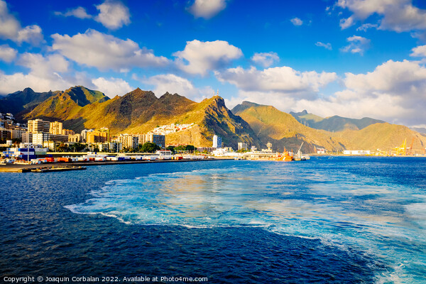 Coast and port of Santa Cruz de Tenerife, from the sea. Picture Board by Joaquin Corbalan