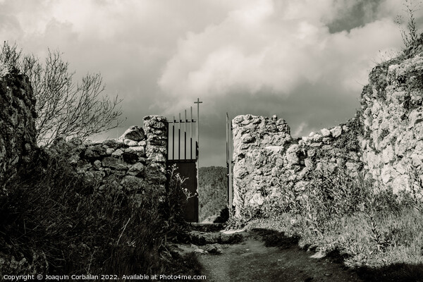 Scary entrance to an old stone cemetery with an iron gate. Picture Board by Joaquin Corbalan