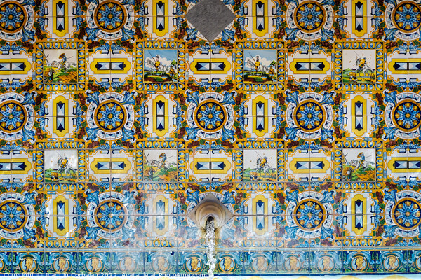 Traditional decorative tile with motifs from Castilla-La Mancha  Picture Board by Joaquin Corbalan