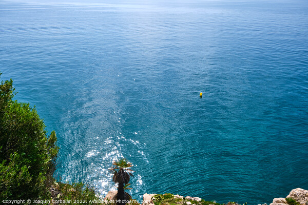 A deep blue in the sea, background with the calm and infinite co Picture Board by Joaquin Corbalan