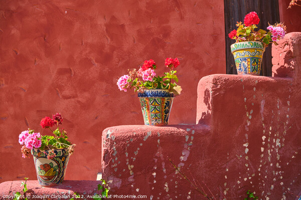 Beautiful vases decorated in a Mexican style, with flowers in th Picture Board by Joaquin Corbalan