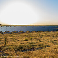 Buy canvas prints of A semi-desert field with solar panels to generate electricity at by Joaquin Corbalan
