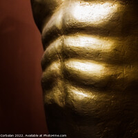 Buy canvas prints of Abdominal muscles, part of the muscular core of the human body. by Joaquin Corbalan