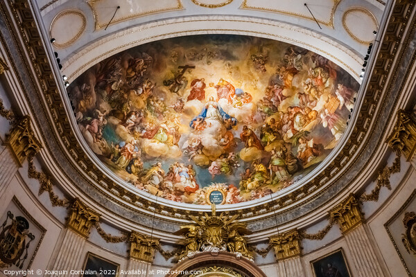 Beautiful frescoes in the dome of the cathedral of Segorbe, mast Picture Board by Joaquin Corbalan