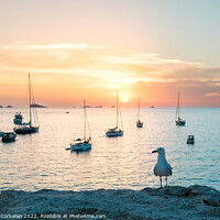 Buy canvas prints of Seagull perched on a cliff watches the boats anchored in the bay by Joaquin Corbalan