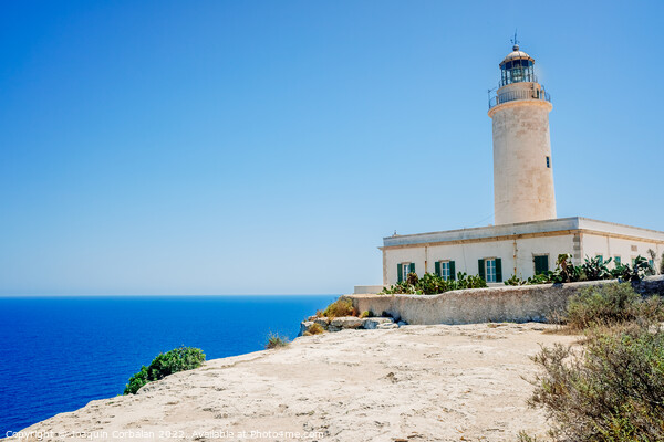 Formentera's lighthouse next to the sea cliff illuminates the co Picture Board by Joaquin Corbalan