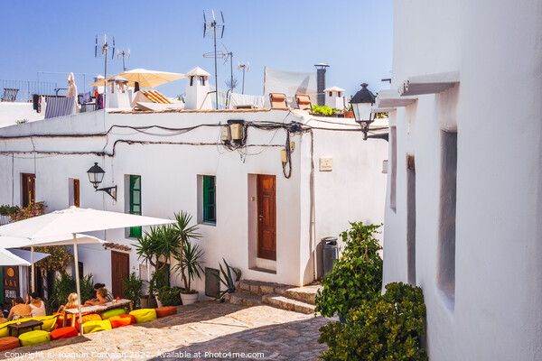 Traditional Ibizan houses, with whitewashed walls to combat the  Picture Board by Joaquin Corbalan