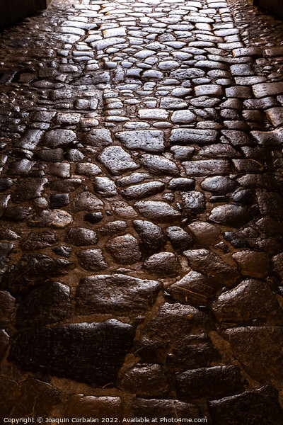 Ancient roman pavement with smooth stones, background and textur Picture Board by Joaquin Corbalan