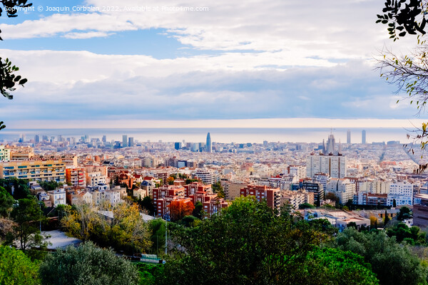 Panoramic of the city of Barcelona with the Mediterranean in the Picture Board by Joaquin Corbalan