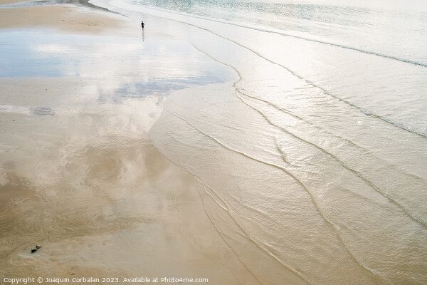 A lone retired person walks away on the sand of a beach in winte Picture Board by Joaquin Corbalan
