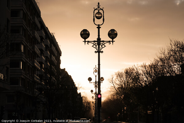 Sunset on a large avenue in a city with lampposts in the middle. Picture Board by Joaquin Corbalan