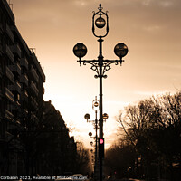 Buy canvas prints of Sunset on a large avenue in a city with lampposts in the middle. by Joaquin Corbalan