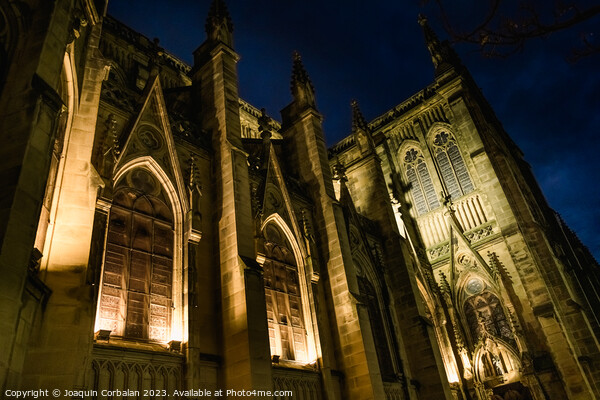 The cathedral of San Sebastian is illuminated at night in a ghos Picture Board by Joaquin Corbalan