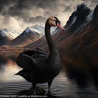 Buy canvas prints of Painting of a beautiful black swan at sunset in a lake between m by Joaquin Corbalan