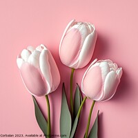 Buy canvas prints of Pretty pink tulips, top view, isolated on soft colored backgroun by Joaquin Corbalan
