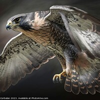 Buy canvas prints of A mighty falcon in flight. AI generated. by Joaquin Corbalan