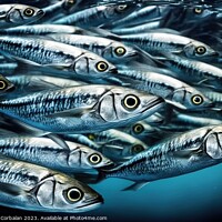 Buy canvas prints of School of sardines under the sea. Ai generated. by Joaquin Corbalan