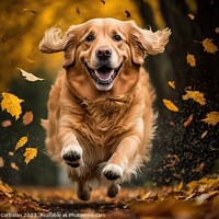 Buy canvas prints of A beautiful golden retriever dog running through t by Joaquin Corbalan
