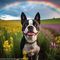 Buy canvas prints of A dog breed Boston Terrier in a meadow. Ai generat by Joaquin Corbalan