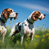 Buy canvas prints of An English Pointer dog, healthy and attentive to prey. Ai genera by Joaquin Corbalan