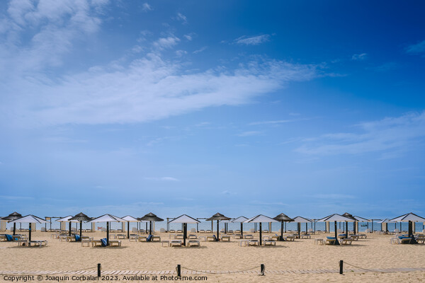 Beach with no one in the Algarve, in spring, with modern umbrell Picture Board by Joaquin Corbalan