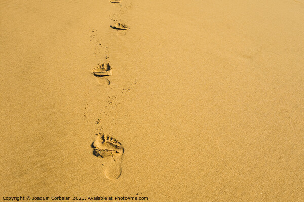 Shoreline, delicate footprints bear witness to a moment of caref Picture Board by Joaquin Corbalan