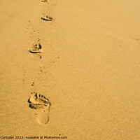Buy canvas prints of Shoreline, delicate footprints bear witness to a moment of caref by Joaquin Corbalan