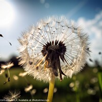 Buy canvas prints of A vibrant yellow dandelion stands tall in a lush green field, sw by Joaquin Corbalan