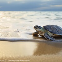 Buy canvas prints of A newly hatched baby turtle clumsily walks along the beach. Ai g by Joaquin Corbalan