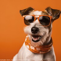 Buy canvas prints of Cute Russell dog with sunglasses and smile, on ora by Joaquin Corbalan