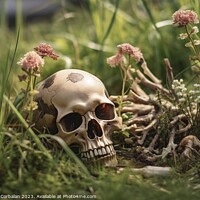 Buy canvas prints of Among the grass of an abandoned orchard, a human skull terrifies by Joaquin Corbalan