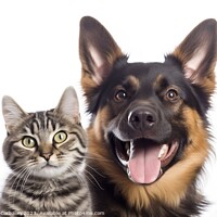 Buy canvas prints of Dog and a cat are friends and they pose funny. Ai  by Joaquin Corbalan