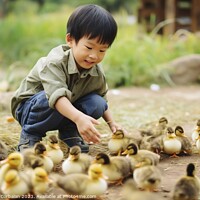 Buy canvas prints of farm boy gently cradles the precious newborn chicks in his hands, savoring the magic of life on the farm. AI Generated by Joaquin Corbalan