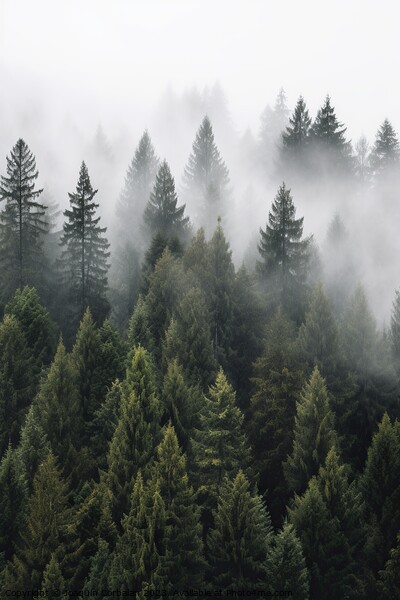 A misty morning in the forest, natural background. Ai generated. Picture Board by Joaquin Corbalan