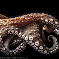 Buy canvas prints of An octopus, in studio and black background. Ai generated. by Joaquin Corbalan