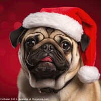 Buy canvas prints of A charming dog wears a Christmas hat and poses aga by Joaquin Corbalan