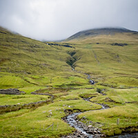 Buy canvas prints of Irish mountain sheep graze on the wet green hills. by Joaquin Corbalan