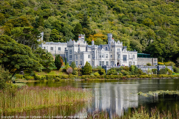 Kylemore Abbey, reflected in the lake, Ireland. Picture Board by Joaquin Corbalan