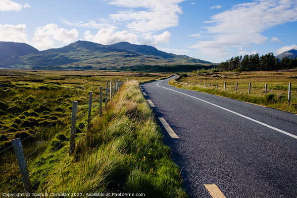 Travelers in search of solitude and nature are enchanted by the Irish roads. Picture Board by Joaquin Corbalan