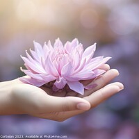 Buy canvas prints of Hand holds a delicate lotus flower, peace and harm by Joaquin Corbalan