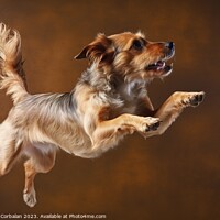 Buy canvas prints of A healthy dog jumps with its mouth open, studio ph by Joaquin Corbalan