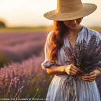 Buy canvas prints of Young gardener woman picks lavender at sunset in a bucolic country scene. by Joaquin Corbalan