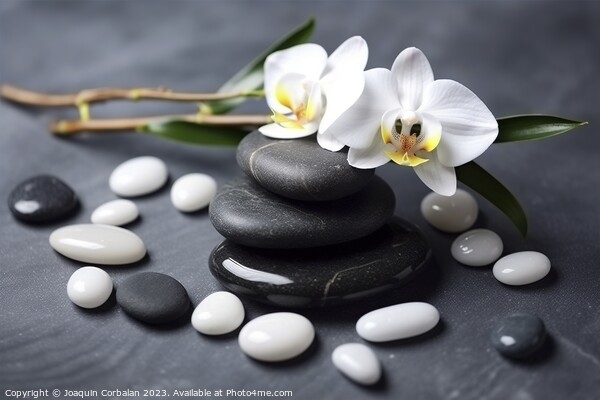 Black and white stones and flowers on a smooth, po Picture Board by Joaquin Corbalan