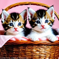 Buy canvas prints of Tender and playful kittens in a basket. by Joaquin Corbalan