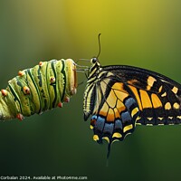 Buy canvas prints of A colorful butterfly sitting on a vibrant green pl by Joaquin Corbalan