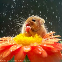 Buy canvas prints of A rodent, like a little mouse, on a flower cooling off with the dew. by Joaquin Corbalan