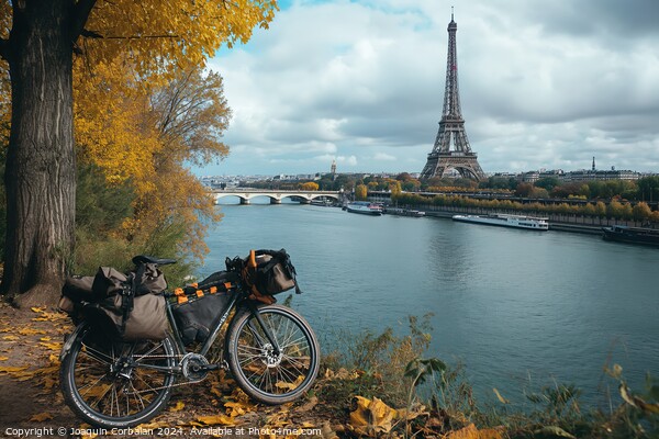 A bike is parked next to a tree, situated near a river in Paris. Picture Board by Joaquin Corbalan