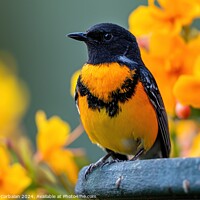Buy canvas prints of A yellow and black bird confidently sits on top of a sturdy metal fence. by Joaquin Corbalan