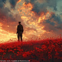 Buy canvas prints of A man stands in a field filled with vibrant red flowers. by Joaquin Corbalan