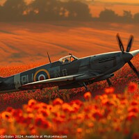 Buy canvas prints of Classic spitfire aircraft, perched in a field of red poppies celebrating the Battle of Britain Memorial by Joaquin Corbalan